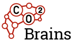 CO2 Brain